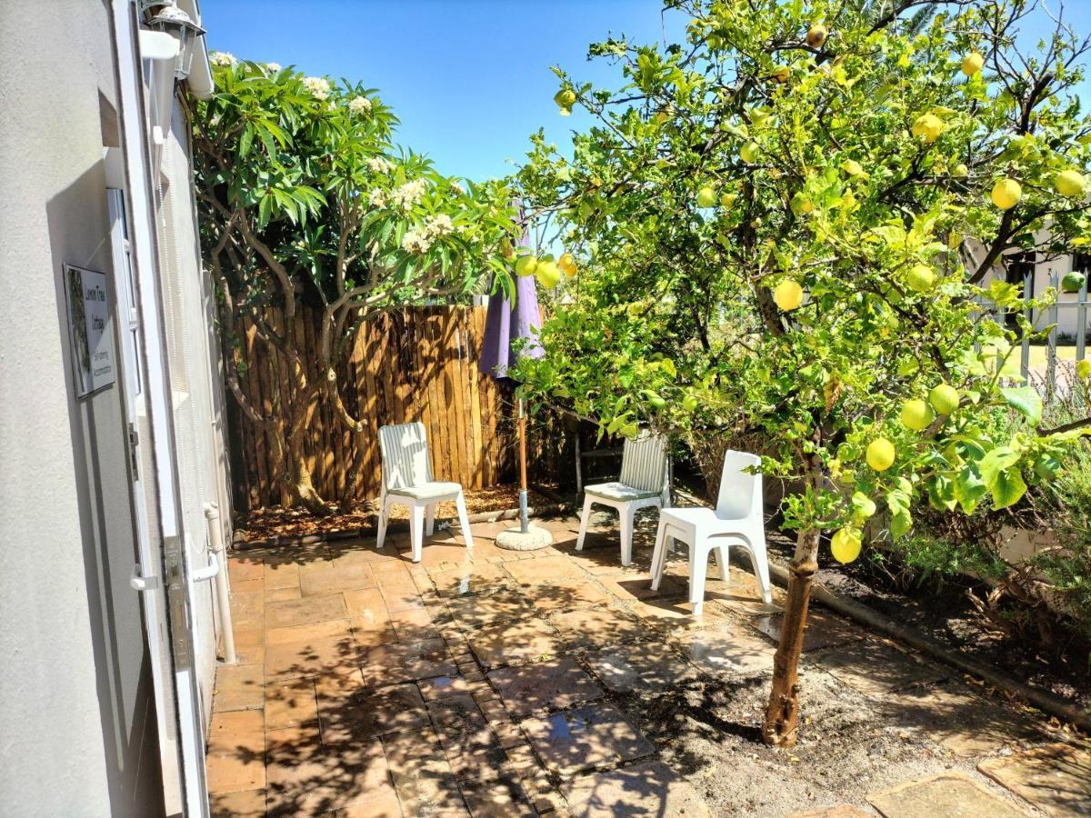 Lemon Tree Cottage Edgemead Kültér fotó