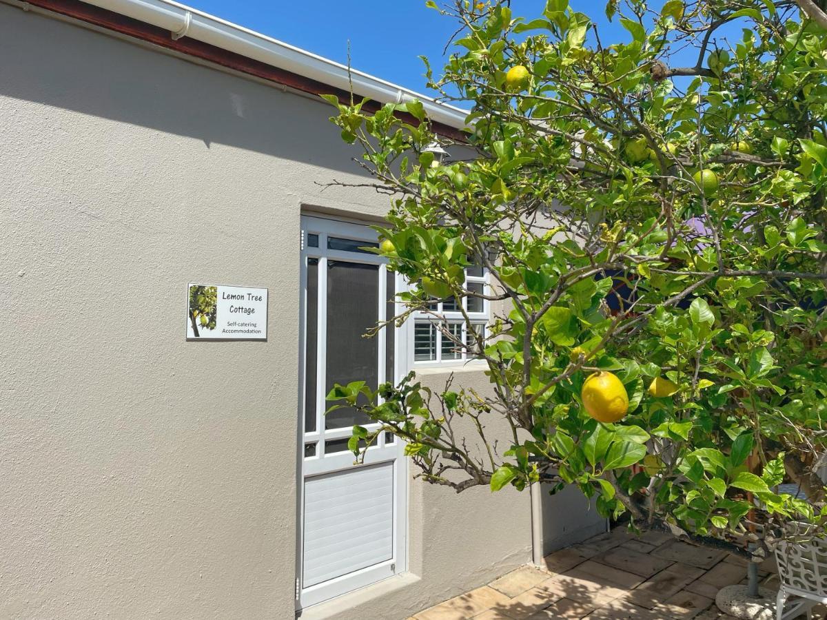 Lemon Tree Cottage Edgemead Kültér fotó