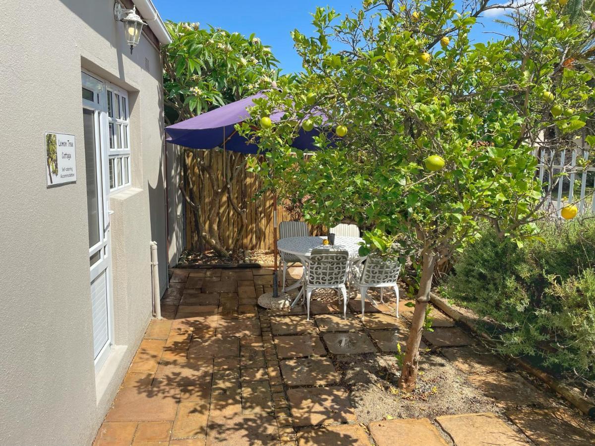 Lemon Tree Cottage Edgemead Kültér fotó